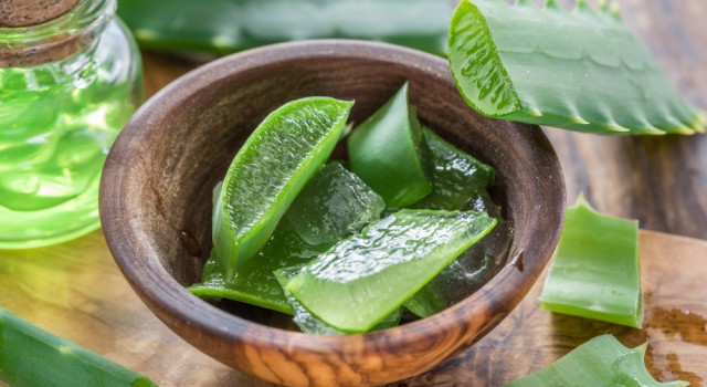 Aloe vera : votre allié beauté et santé