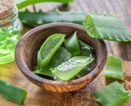 Aloe vera : votre allié beauté et santé