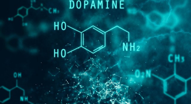 Bien-être : comment augmenter votre taux de dopamine