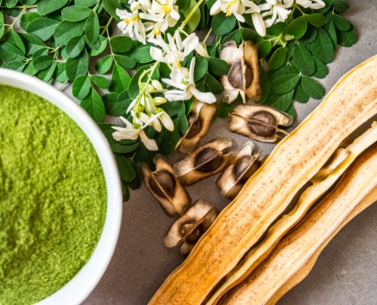 L'huile de moringa : un atout beauté et santé