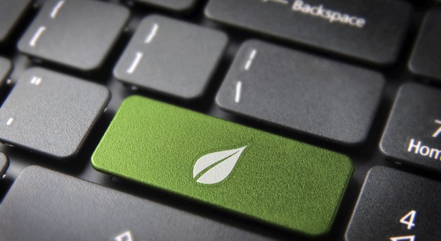 Les adolescents ont leur site Internet pour comprendre le développement durable