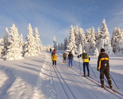 Le ski de fond, un sport complet !