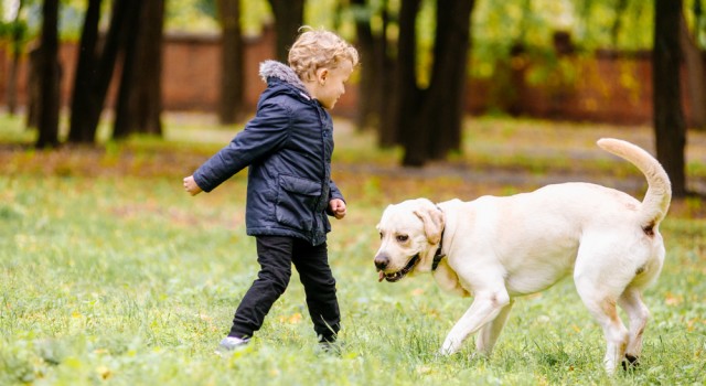 Un chien pour réduire le risque d'obésité infantile