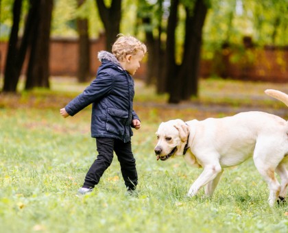 Un chien pour réduire le risque d'obésité infantile