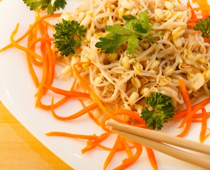 Graines : comment les faire germer et les cuisiner ?