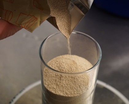 Gardez la forme grâce aux bactéries