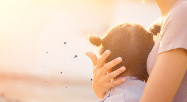 Comment les moustiques choisissent leur cible ?