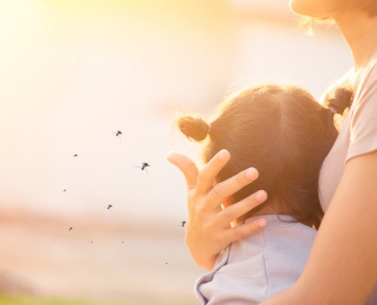 Comment les moustiques choisissent leur cible ?