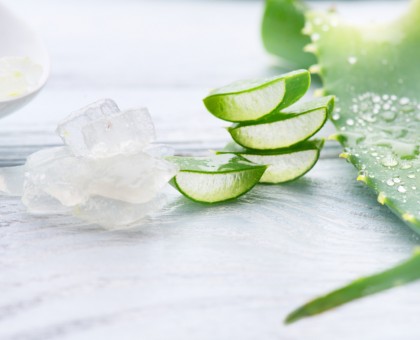 Les bienfaits de l’aloe vera pour l'été
