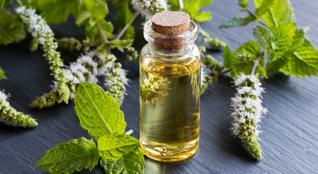 Les bienfaits des huiles essentielles