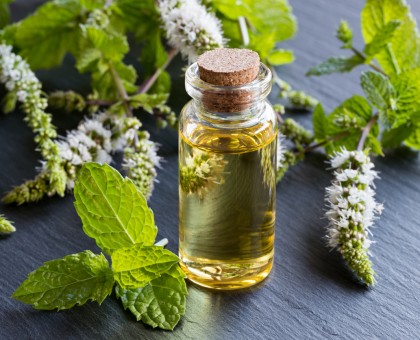 Les bienfaits des huiles essentielles