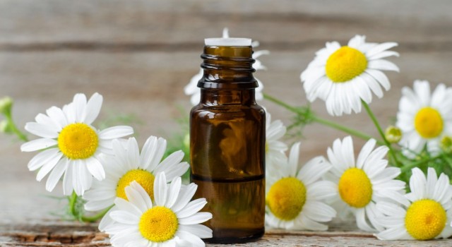 Les huiles essentielles phares et indispensables à l'aube du printemps