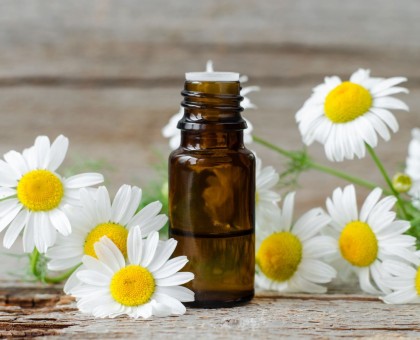 Les huiles essentielles phares et indispensables à l'aube du printemps