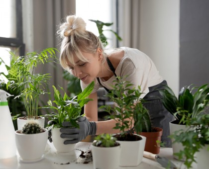 10 plantes médicinales à cultiver chez soi