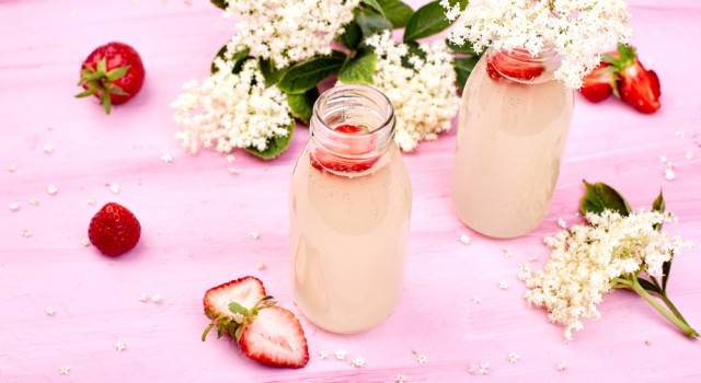 Tout ce qu’il faut savoir sur la lacto-fermentation