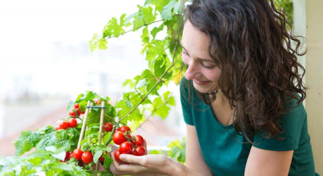 Citadines : nos astuces simples pour vous reconnecter à la nature