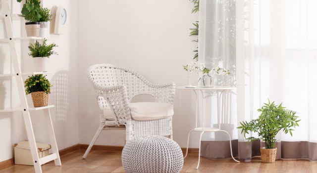 Comment purifier sa maison de façon naturelle ?