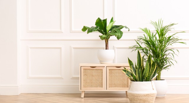 Lagom : tout savoir sur le bien-être à la suédoise