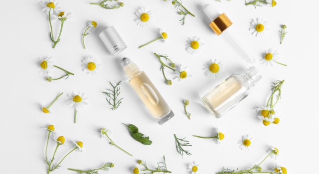 Les bienfaits de la camomille