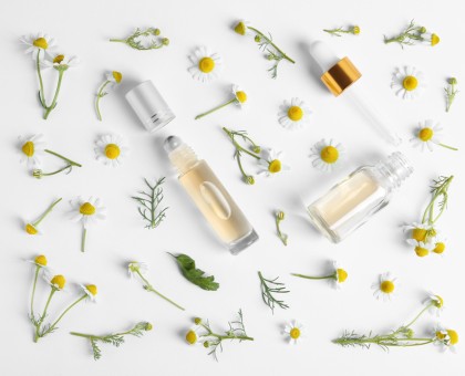 Les bienfaits de la camomille