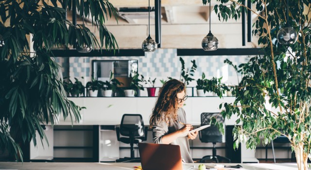 Écologie au travail : comment réduire la consommation d'énergie de son entreprise ?
