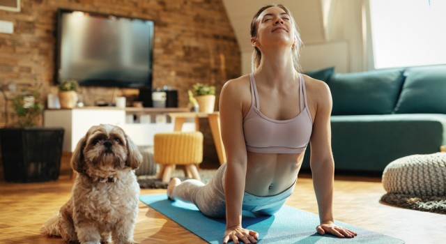 Ashtanga, Vinyasa, Hatha... Quel yoga est fait pour vous ?