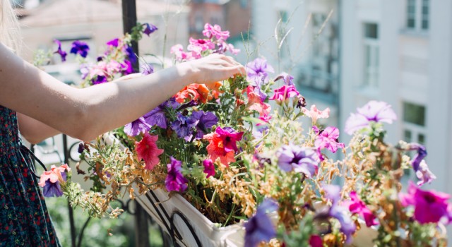 Balcon : comment le décorer avec des fleurs toute saison ?