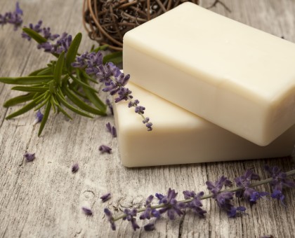 Les bienfaits du lait d’ânesse pour la peau