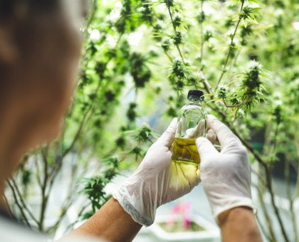 H4CBD : une nouvelle alternative au HHC arrive sur le marché