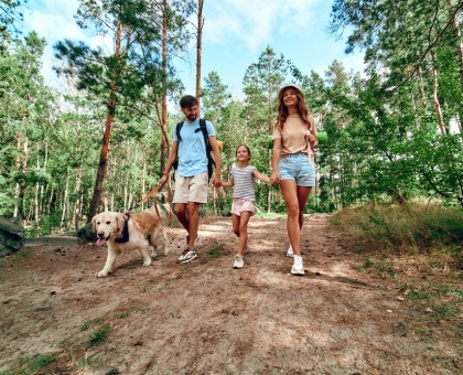 Les bienfaits insoupçonnés de la marche en forêt