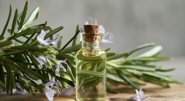 Les bienfaits de l'huile essentielle de romarin pour les cheveux