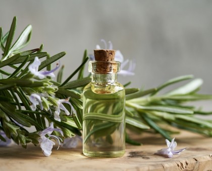 Les bienfaits de l'huile essentielle de romarin pour les cheveux