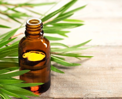 Les bienfaits de l'huile essentielle de tea tree pour les cheveux
