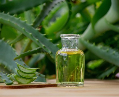 Les vertus de l'aloe vera pour la peau et les cheveux