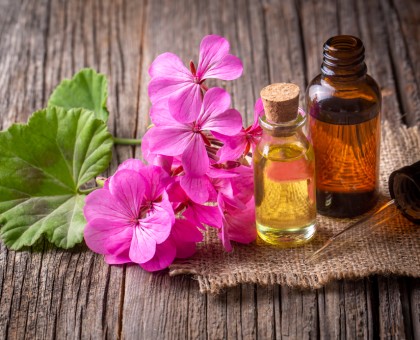 Les bienfaits de l'huile essentielle de géranium pour la peau