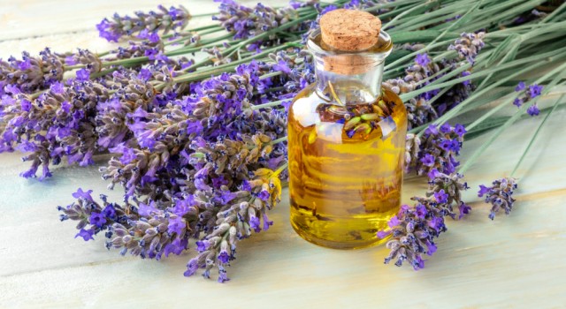 Les bienfaits de l'huile essentielle de lavandin pour le sommeil