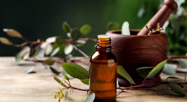 Les bienfaits de l'huile essentielle d'eucalyptus pour les voies respiratoires
