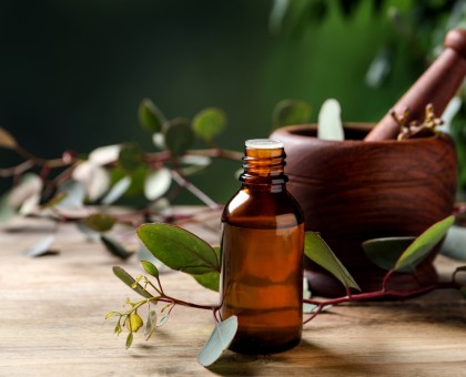 Les bienfaits de l'huile essentielle d'eucalyptus pour les voies respiratoires