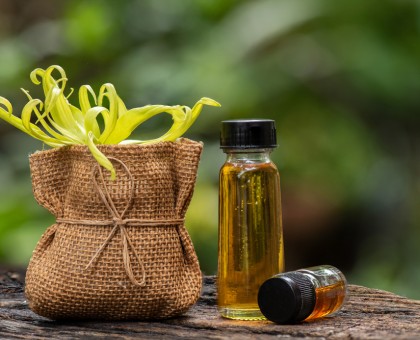 Les bienfaits de l'huile essentielle d'ylang-ylang pour la peau