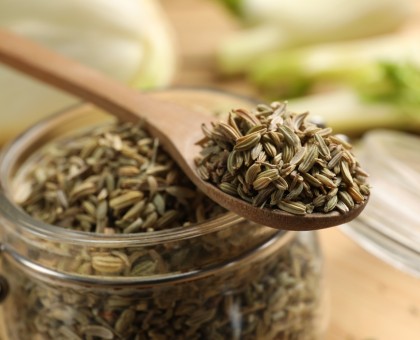 Les vertus du fenouil pour la santé
