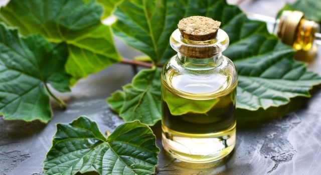 Les bienfaits de l'huile essentielle de patchouli pour la peau