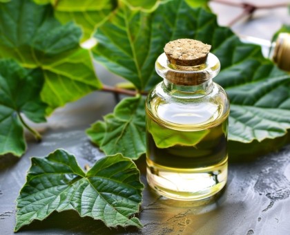 Les bienfaits de l'huile essentielle de patchouli pour la peau