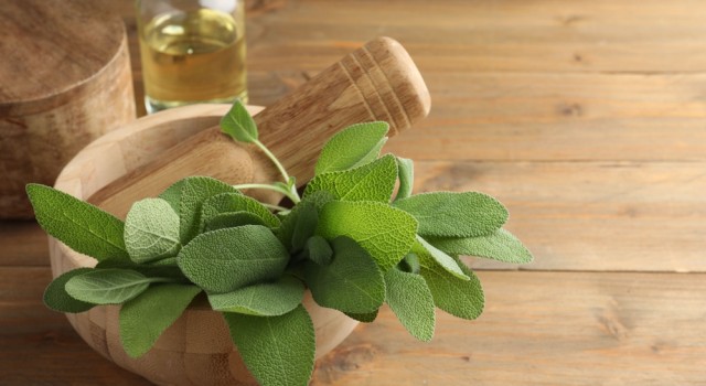 Les vertus de la sauge pour la santé