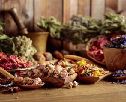 Découvrez les pouvoirs détoxifiants des plantes médicinales