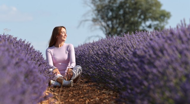Les pouvoirs apaisants de la lavande pour votre santé
