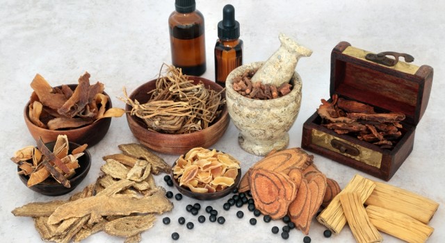 Plantes adaptogènes : alliées naturelles contre le stress