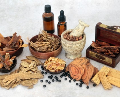 Plantes adaptogènes : alliées naturelles contre le stress