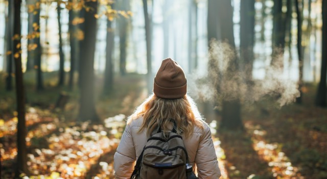 Écologie et bien-être : comment vivre en harmonie avec la nature