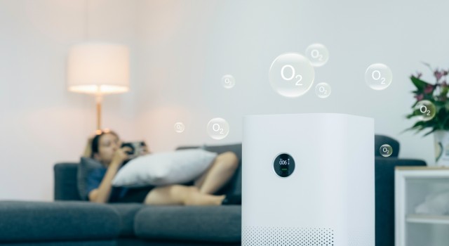 10 astuces naturelles pour purifier l’air de son intérieur