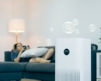 10 astuces naturelles pour purifier l’air de son intérieur